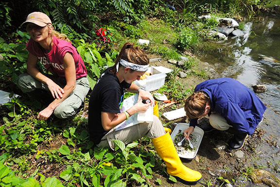 Field work program students